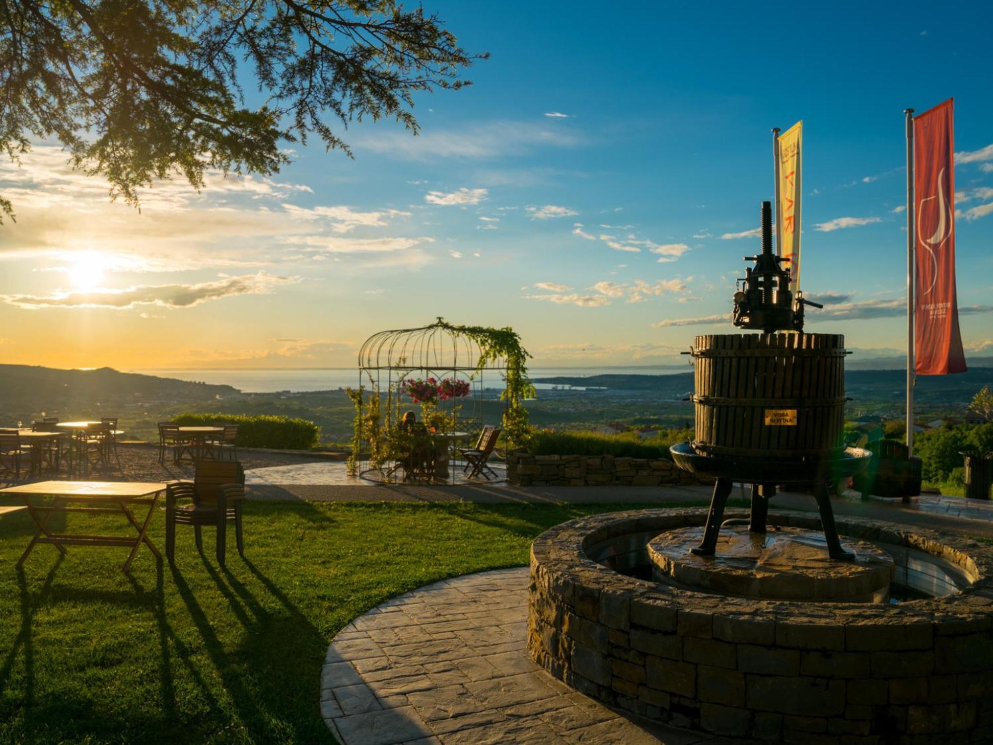 Wine Paradise - Glamping Resort Marezige Exterior photo